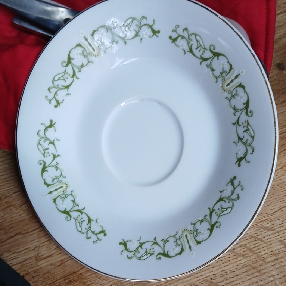 Elegant White and Green Dinner Plate